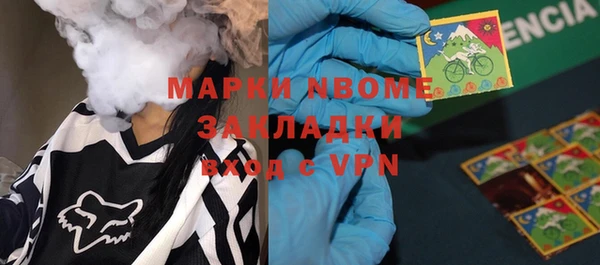 индика Аркадак
