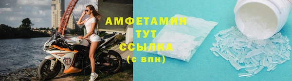 молекула духа Арсеньев