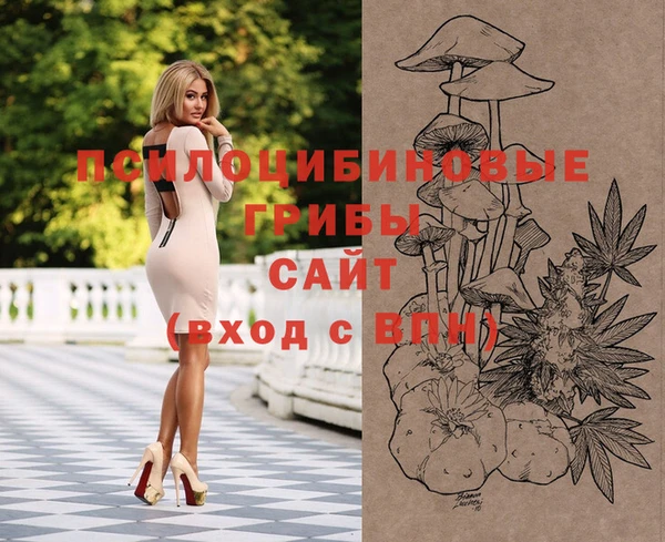 индика Аркадак