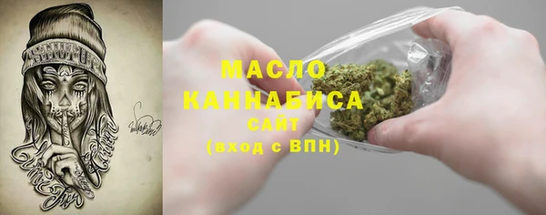 индика Аркадак