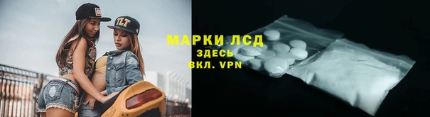 молекула духа Арсеньев