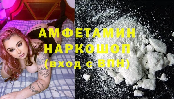 индика Аркадак