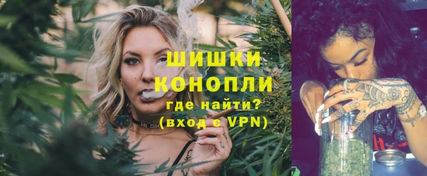 индика Аркадак