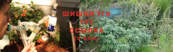 молекула духа Арсеньев