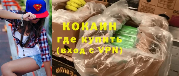 индика Аркадак