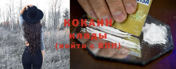 индика Аркадак