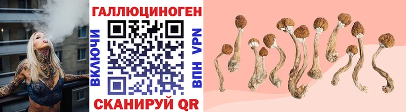 купить наркотики сайты  Зуевка  Галлюциногенные грибы Cubensis 